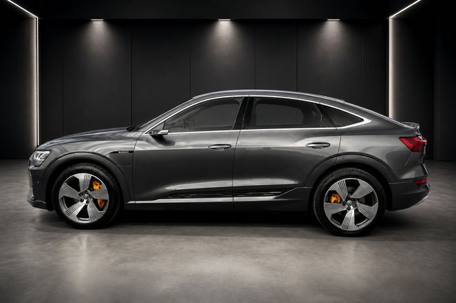 Audi E-Tron 50 quattro S line Gris de 2020