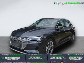  Voir d&eacute;tails -Audi E-Tron 50 quattro 313 ch &agrave; Beaupuy (31)