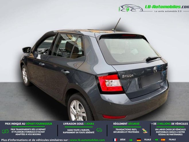 Skoda Fabia 1.0 TSI 95 ch BVM Gris M�tallis�e de 2020
