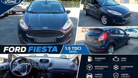 Ford Fiesta 1.5 tdci très économique 2013 d'occasion a Paris (75)