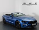 Ford Mustang V8 5.0L &agrave; Geispolsheim (67)