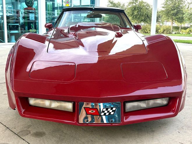 Chevrolet Corvette Greenwood Daytona  de 1980