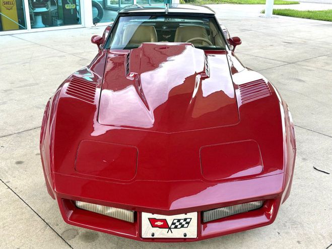 Chevrolet Corvette Greenwood Daytona  de 1980