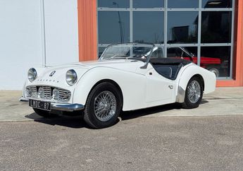  Voir d&eacute;tails -Triumph TR3 TR A Old English White 1961 &agrave; Saint-Junien (87)