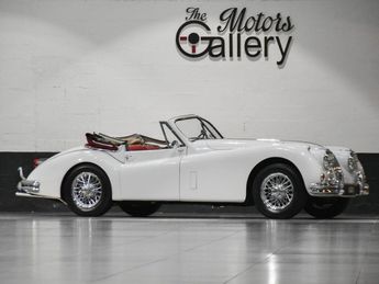  Voir d&eacute;tails -Jaguar XK 140 XK DHC &agrave; Coigni�res (78)