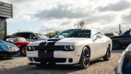 Dodge Challenger R-T Scat Pack 6.4 HEMI V8 492 ch ? Perfo 2019 d'occasion a Mennecy (91)