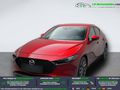 Agrandir Agrandir