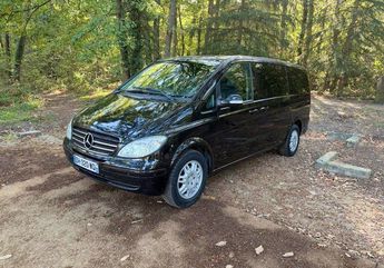 Mercedes Viano