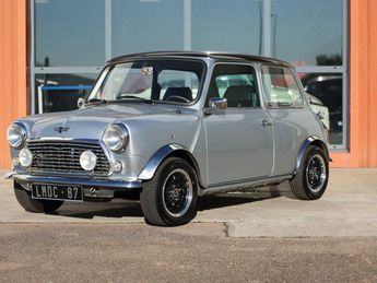 Mini One 1000 1989 d'occasion a Saint-Junien (87)