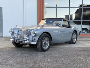 Austin healey 100 BN1 100/4 1955 d'occasion a Saint-Junien (87)