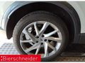 Agrandir